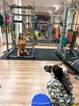 Monika Fox Posing With A Barbell On Photo Session