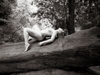 Fine Art Redwood Nudes - Free