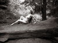 Fine Art Redwood Nudes - Free