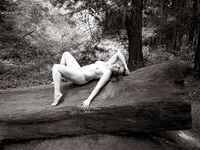 Fine Art Redwood Nudes - Zip
