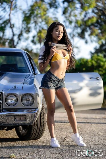 Petite Vixen Maya Bijou Shagged By Handsome Stallion photos (Ricky Johnson)