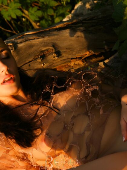 Cuni - Wild Glamour