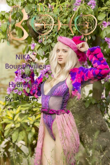 Nika. Bougainvillea vs Hydrangea