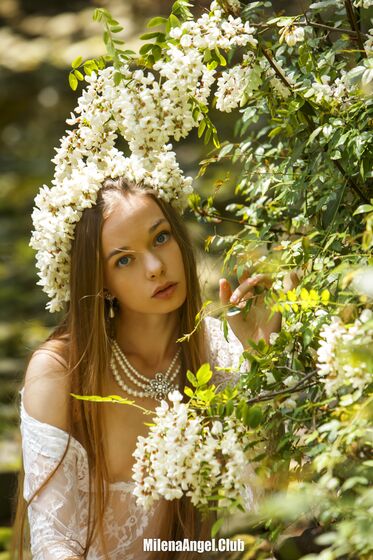 MilenaAngel. Acacia
