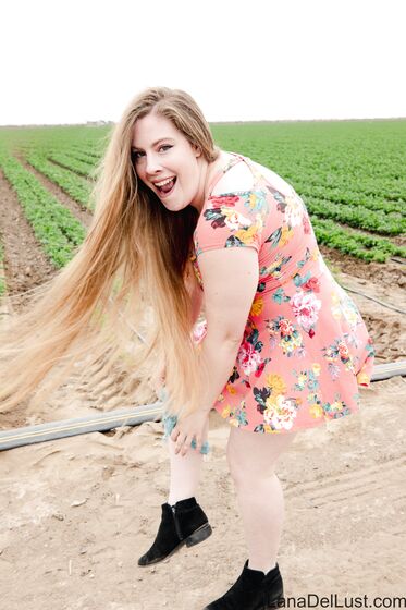 Farm Walk Flashing - Free