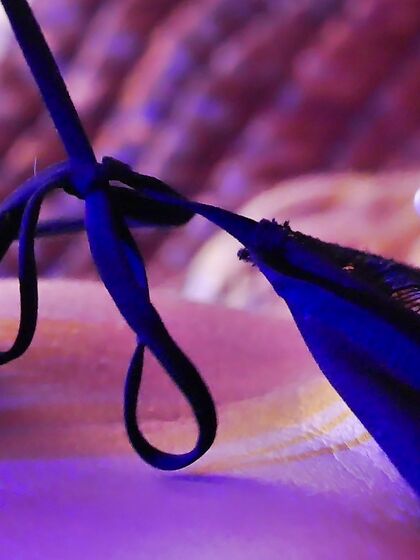 erotic masturbation on my bed in blue