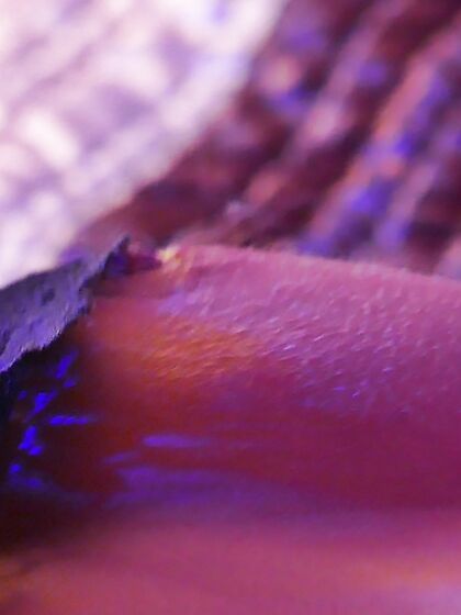 erotic masturbation on my bed in blue