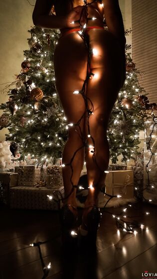 Oh Christmas Tree